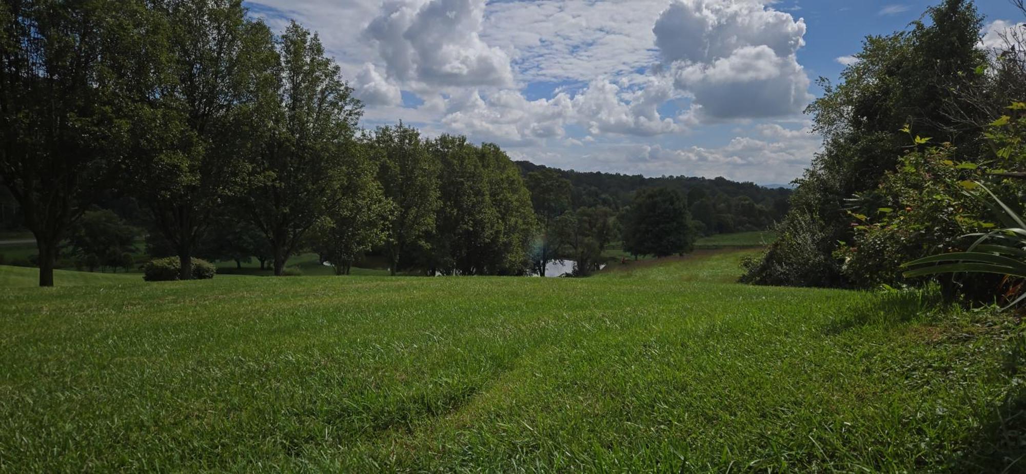 Guest House At Mount Independence Delaplane 外观 照片