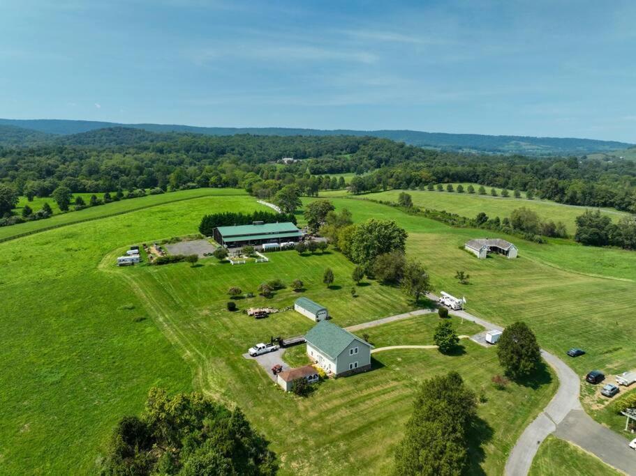 Guest House At Mount Independence Delaplane 外观 照片